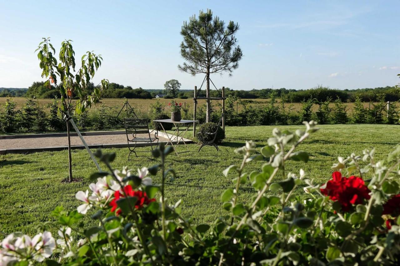 Le Montillon Tour-en-Sologne Exterior foto